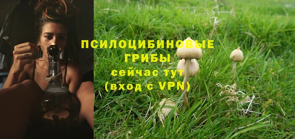 синтетический гашиш Заволжск