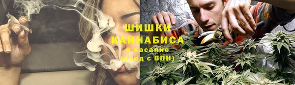spice Заводоуковск