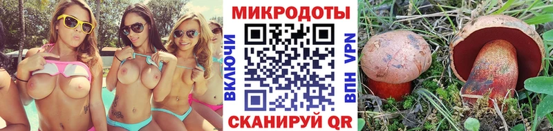 Галлюциногенные грибы Magic Shrooms  Купить  Ершов 